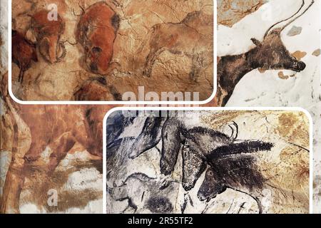 L'art mural paléolithique de la célèbre Grotte Chauvet en France est l'un des plus importants sites préhistoriques européens. Banque D'Images