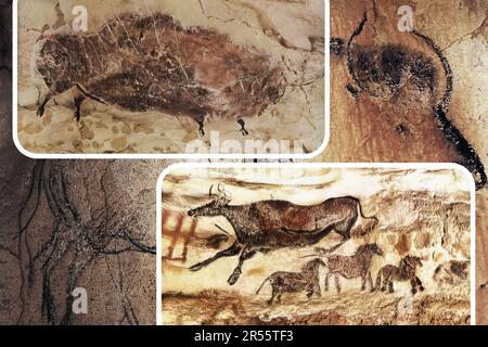 L'art mural paléolithique de la célèbre Grotte Chauvet en France est l'un des plus importants sites préhistoriques européens. Banque D'Images