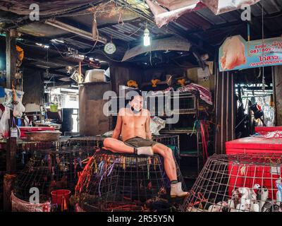 Un magasin thaïlandais local avec des canards vivants et du poulet à vendre vu à Khlong Toei Market, le plus grand marché frais de Bangkokís, sur Rama IV Road. Banque D'Images