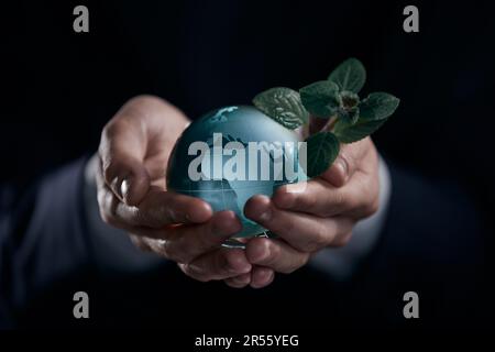 Boule en verre de cristal avec plante verte dans les mains sur fond naturel Banque D'Images