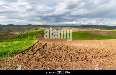 Agriculture sur des sols érodés, des cultures vertes et des terres jachères dans le centre de la Turquie. Banque D'Images