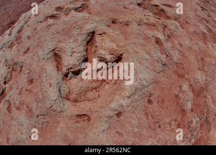 Gros plan d'une piste de dinosaures, formation de Moenave près de Tuba City, Arizona, États-Unis Banque D'Images