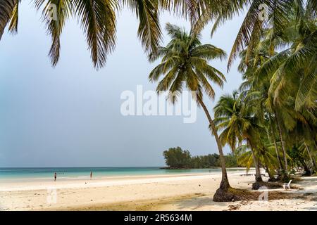 AM Strand Klong Hin Beach, Insel Ko Kut oder Koh Kood im Golf von Thailand, Asien | Klong Hin Beach, Ko Kut ou Koh Kood, île dans le golfe de Tha Banque D'Images