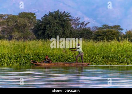 Pêcheur dans un pirogue sur son chemin pour pêcher sur la rivière Shire. Pêcheur dans un pirogue sur la rivière Shire dans la soirée. Parc national de Liwonde, Malawi Banque D'Images