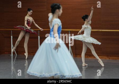 SHENYANG, 1 juin 2023 (Xinhua) -- les élèves suivent une classe de ballet dans une école de ballet affiliée au Ballet de Liaoning à Shenyang, dans la province de Liaoning, au nord-est de la Chine, au 30 mai 2023. Fondée en 1994, l'école de ballet affiliée à Liaoning Ballet est une importante base de formation professionnelle de ballet en Chine. L'école recrute des enfants âgés de 10 à 12 ans qui s'intéressent au ballet et qui ont un certain niveau de compétence en ballet de partout au pays. Près de 1 000 enfants font une demande d'école chaque année, et environ 70 d'entre eux sont acceptés. À l'heure actuelle, il y a plus de 400 étudiants studyi Banque D'Images
