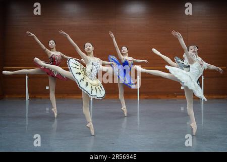 SHENYANG, 1 juin 2023 (Xinhua) -- les élèves suivent une classe de ballet dans une école de ballet affiliée au Ballet de Liaoning à Shenyang, dans la province de Liaoning, au nord-est de la Chine, au 30 mai 2023. Fondée en 1994, l'école de ballet affiliée à Liaoning Ballet est une importante base de formation professionnelle de ballet en Chine. L'école recrute des enfants âgés de 10 à 12 ans qui s'intéressent au ballet et qui ont un certain niveau de compétence en ballet de partout au pays. Près de 1 000 enfants font une demande d'école chaque année, et environ 70 d'entre eux sont acceptés. À l'heure actuelle, il y a plus de 400 étudiants studyi Banque D'Images