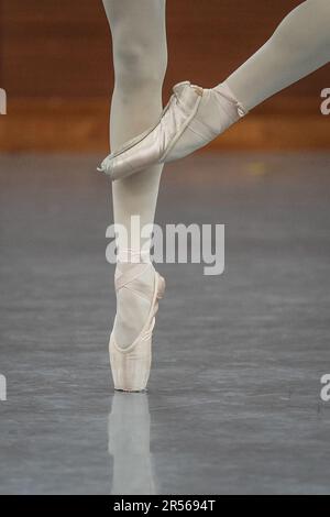 SHENYANG, 1 juin 2023 (Xinhua) -- Un étudiant fréquente une classe de ballet dans une école de ballet affiliée au Ballet de Liaoning à Shenyang, dans la province de Liaoning, au nord-est de la Chine, au 30 mai 2023. Fondée en 1994, l'école de ballet affiliée à Liaoning Ballet est une importante base de formation professionnelle de ballet en Chine. L'école recrute des enfants âgés de 10 à 12 ans qui s'intéressent au ballet et qui ont un certain niveau de compétence en ballet de partout au pays. Près de 1 000 enfants font une demande d'école chaque année, et environ 70 d'entre eux sont acceptés. À l'heure actuelle, il y a plus de 400 étudiants stud Banque D'Images