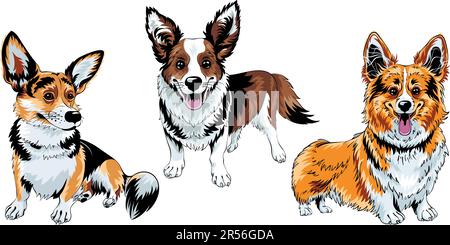 Ensemble de croquis de couleur de chien gallois corgi race sourire Illustration de Vecteur