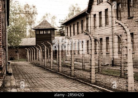 Pologne, Auschwitz - 18 avril 2014 : clôtures câblées du camp de concentration d'Auschwitz à Oswiecim, Pologne Banque D'Images