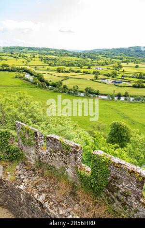 Vue sur la vallée de la rivière Towy depuis les remparts du château de Dinefwr (château de Dynevor), Llandeilo, Carmarthenshire, sud-ouest du pays de Galles au Royaume-Uni Banque D'Images