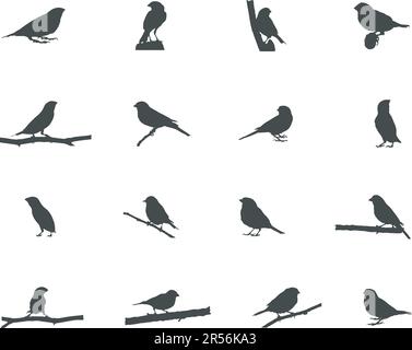 Silhouette de Finch, silhouette d'oiseaux de Finch, SVG de Finch, illustration vectorielle de Finch Illustration de Vecteur