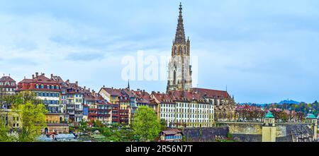 Haut clocher en pierre de la cathédrale de Berne Minster sur les toits des maisons résidentielles à Berne, Suisse Banque D'Images