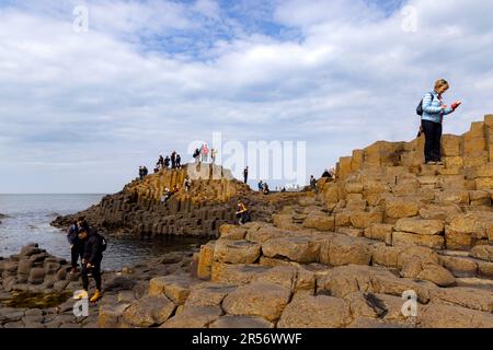 Touristes explorant la chaussée des géants, Bushmills, comté d'Antrim, Irlande du Nord, un célèbre site classé au patrimoine mondial de l'UNESCO. Banque D'Images