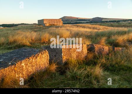 Lever du soleil au Scottish Wildlife Trust Dumbarnie relie la réserve naturelle près de Largo, Fife, Écosse Banque D'Images