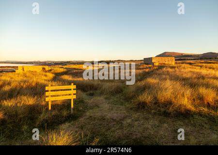 Lever du soleil au Scottish Wildlife Trust Dumbarnie relie la réserve naturelle près de Largo, Fife, Écosse Banque D'Images