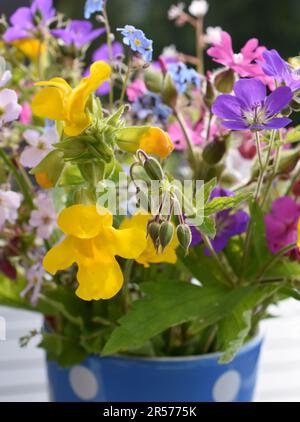 Vase avec différentes fleurs sauvages en fleurs dans de nombreuses couleurs différentes Banque D'Images