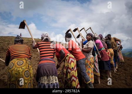 Rwanda. Environs de Kibuye. les paysans au travail Banque D'Images