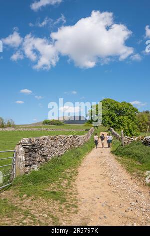 Marcheurs sur le sentier aussi Pen-y-Ghent, l'un des trois sommets du Yorkshire. Banque D'Images