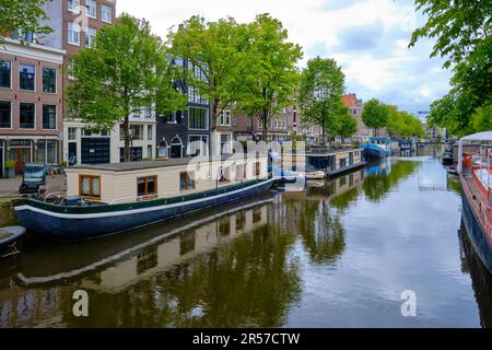 Péniches sous une canopée d'arbres bordant le canal Amsterdam Brouwersgracht au printemps. Banque D'Images