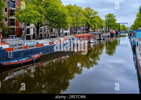 Péniches sous une canopée d'arbres bordant le canal Brouwersgracht à Amsterdam, Hollande. Banque D'Images