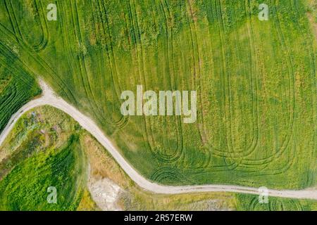 Image aérienne des terres agricoles. Récolte en extérieur, Chypre Banque D'Images