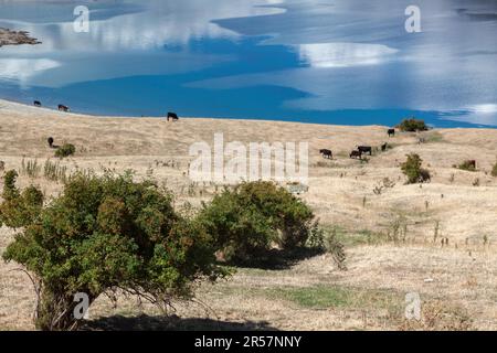 Lac Hawea Banque D'Images