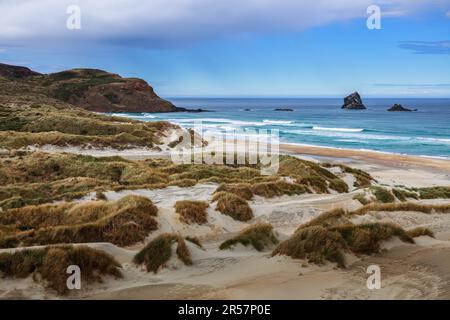 Baie de vol sur la péninsule d'Otagao Southen Nouvelle-zélande Banque D'Images