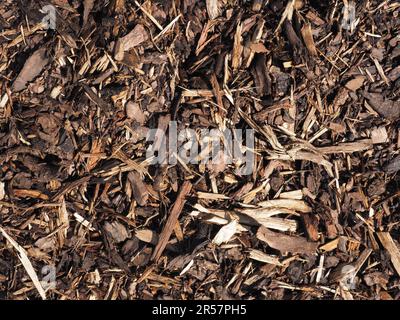 Texture du paillis d'écorce en utilisant comme fond naturel, état du sol, amélioration du sol, jardinage, printemps Banque D'Images