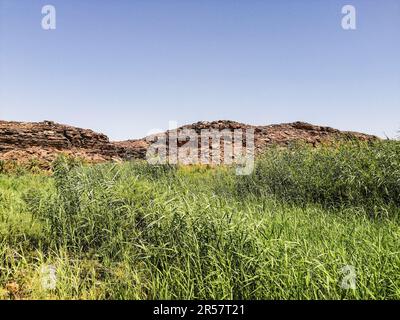 Mauritanie, région d'Adrar, oasis de Mhaireth, paysage Banque D'Images