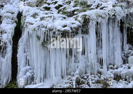 Le froid glacial a provoqué le gel de l'eau qui coule dans les coussins de mousse dans les glaçons. Ces impressions de glace peuvent être vues sur les pentes septentrionales du Banque D'Images