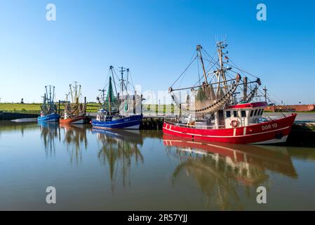 Coupe-crevettes dans le port de coupe de Dorum-Neufeld, municipalité de Wurster côte de la mer du Nord, district de Cuxhaven, Basse-Saxe Wadden Sea National Banque D'Images