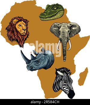 Faune d'Afrique, continent mondial. La faune et la flore. Illustration vectorielle Illustration de Vecteur