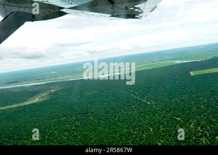 Parc national de Chobe. Botswana Banque D'Images