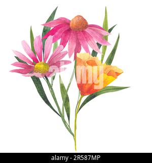 Bouquet de fleurs de coquelicots de californie, d'Echinacea purpurea et de cosmos d'orange, isolées sur fond blanc. Illustration peinte à la main à Banque D'Images