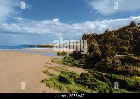 Plage Rocky Playa Virgen del Mar, Costa Quebrada, Cantabrie, Espagne Banque D'Images