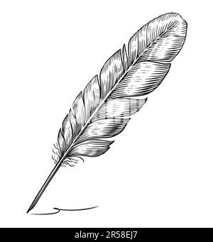 Stylo plume à plume en forme de quill, style gravure vintage. Illustration d'esquisse dessinée à la main Banque D'Images