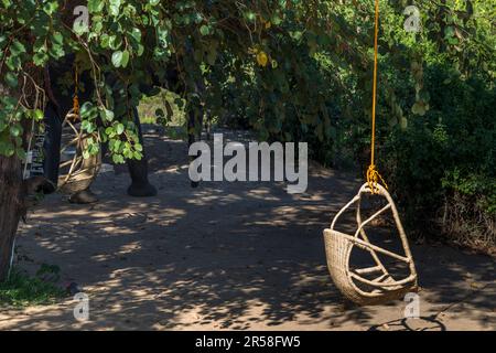 Sur le terrain du Kutchire Lodge, situé dans le parc national, tous les animaux sauvages ont un accès gratuit. Parc national de Liwonde, Malawi Banque D'Images