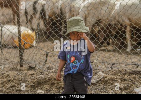 Vallée du Jourdain, Palestine. 01st juin 2023. Un enfant bédouin palestinien vu près de leur khirbet, menacé de démolition par l'armée israélienne, dans la vallée du Jourdain, dans le nord de la Cisjordanie occupée. Aujourd'hui, 1 juin, le gouvernement israélien a livré onze ordres pour démolir des maisons pour les résidents de ce khirbet, qui est situé près de l'avant-poste illégal de Koki. (Photo de Nasser Ishtayeh/SOPA Images/Sipa USA) crédit: SIPA USA/Alay Live News Banque D'Images