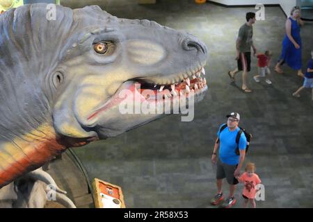 St. Louis, États-Unis. 01st juin 2023. Un homme et un enfant contemplent le dinosaure mécanique T-Rex pendant qu'il grandit et le déplace à la tête le jour national des dinosaures à la rue Louis Science Centre à St. Louis, jeudi, 1 juin 2023. Les dinosaures vivaient il y a des millions d'années et étaient des reptiles et des ancêtres des lézards, des serpents, des tortues et des crocodiles communs qui existent aujourd'hui. Les dinosaures ont vécu durant l'ère mésozoïque ou l'âge des reptiles, qui a commencé il y a environ 252 millions d'années. Photo par Bill Greenblatt/UPI crédit: UPI/Alay Live News Banque D'Images