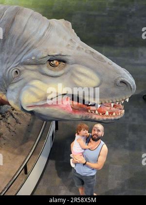 St. Louis, États-Unis. 01st juin 2023. Un homme tient son enfant pour regarder le dinosaure mécanique T-Rex lors de la Journée nationale des dinosaures à la rue Louis Science Centre à St. Louis, jeudi, 1 juin 2023. Les dinosaures vivaient il y a des millions d'années et étaient des reptiles et des ancêtres des lézards, des serpents, des tortues et des crocodiles communs qui existent aujourd'hui. Les dinosaures ont vécu durant l'ère mésozoïque ou l'âge des reptiles, qui a commencé il y a environ 252 millions d'années. Photo par Bill Greenblatt/UPI crédit: UPI/Alay Live News Banque D'Images