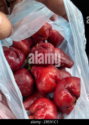 Fruits srilankais, Tropical, visitez le Sri Lanka Banque D'Images