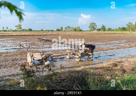 Le fermier se détend pendant la journée et garer le tracteur de charrue dans le champ de riz. Banque D'Images