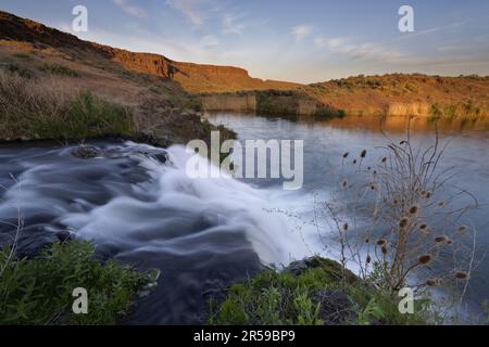 Chute d'eau du désert sans nom tombant dans un lac sans nom sous des falaises de basalte pendant le ruissellement de printemps, Columbia National Wildlife refuge, Washington, États-Unis Banque D'Images