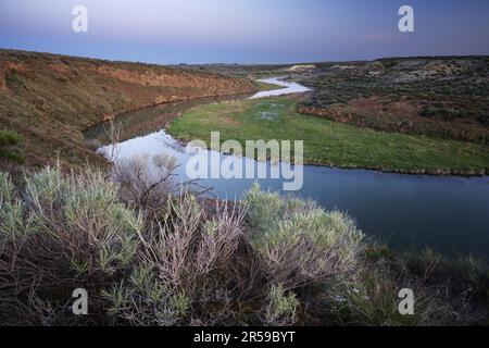 Lind Coulee Wasteway qui se démène dans le désert à l'aube, Desert Wildlife Area, Washington, États-Unis Banque D'Images