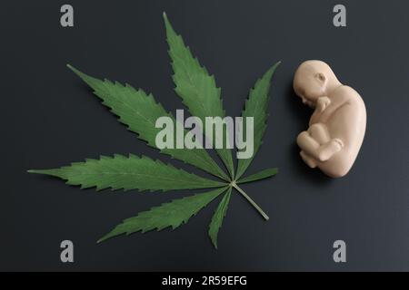 Modèle artificiel du fœtus humain situé près de la feuille de cannabis Banque D'Images