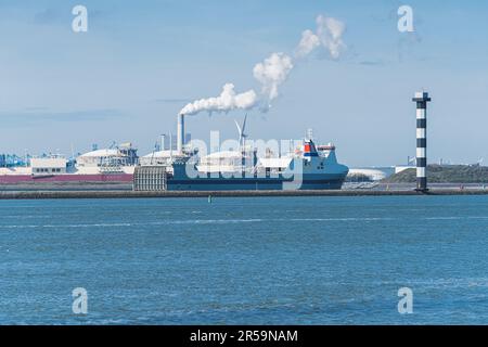 Vue depuis le bord de mer à Maasvlakte Rotterdam aux pays-Bas. Plus grand groupe de conteneurs en Europe. Photo de haute qualité Banque D'Images