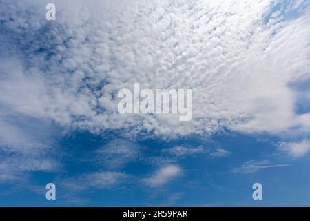 Ciel bleu avec recouvrement d'arrière-plan nuages. Idéal pour le remplacement du SKY, l'économiseur d'écran ou toute autre application Banque D'Images