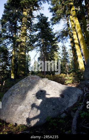 Un randonneur projette une ombre sur un rocher Banque D'Images