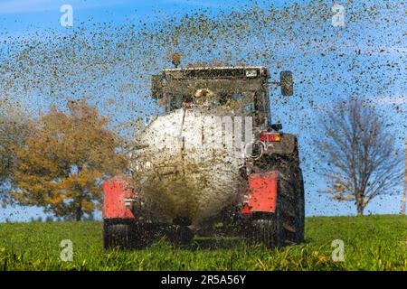 Un tracteur fertilisant un champ avec du fumier, Autriche Banque D'Images