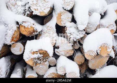 Pile de bois enneigée, Allemagne, Bavière Banque D'Images